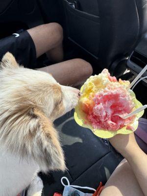 Extra fluffy flavorful summer treat. They even give our dogs a flavor free cup.