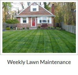 Weekly Lawn Maintenance