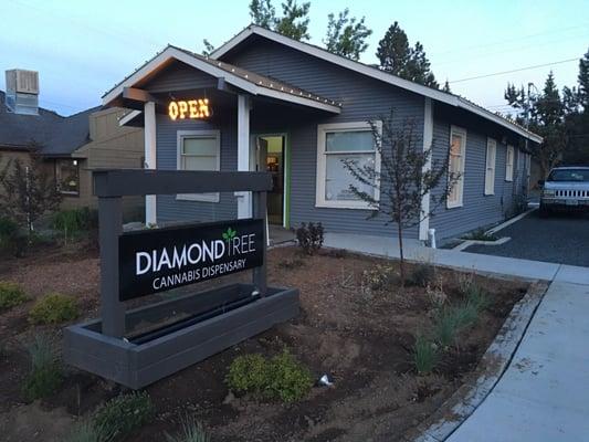 Diamond Tree on Galveston in Bend, Oregon