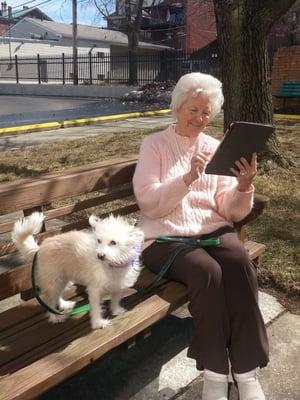 Ms. Smith (and Sandy) enjoying her FREE WI-FI while catching some spring sunshine in our backyard.