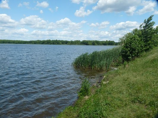 A picture of Assunpink Lake. It is beautiful!