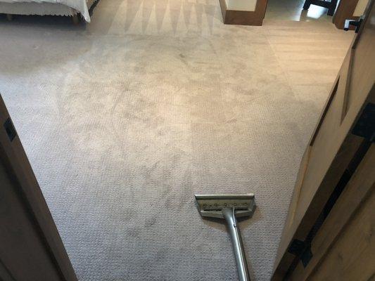 I love clean carpet (before)