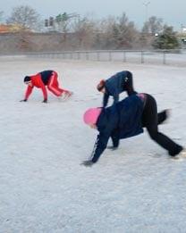 Polar Bear Crawls!