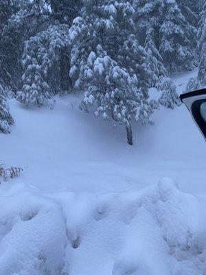 Our car got caught in this snow storm
 With two kids and a dog. 
 The other tow company said it would be a day.