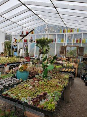 Inside one of their succulent greenhouses