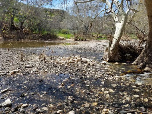 Pristine Beaver Creek off gate at Montezuma Highway below Cliff Castle Monument. Unspoiled free hike.