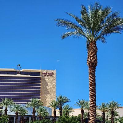 My office conveniently located next door to Red Rock Resort & Casino in Las Vegas. Fly in, meet up and I find your dream Vegas getaway.