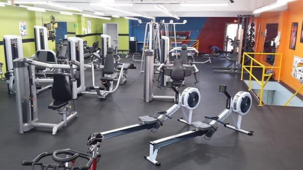 New Precor circuit equipment, plenty of free weights, benches, cable crossover, squat racks and benches.