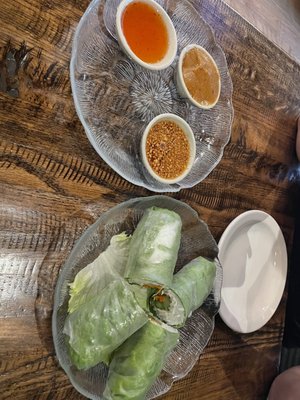 Veggie Fresh Spring Roll