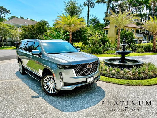 Platinum Executive Coaches