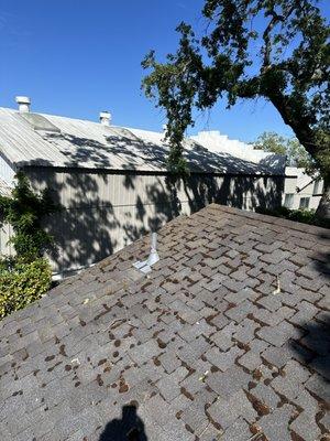 Roof Clean Moss Removal