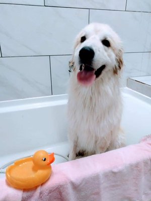 Bath time