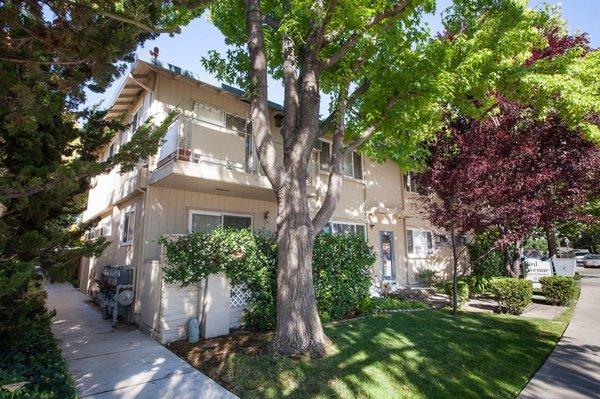 Bird Avenue Apartments