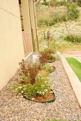 Rocks with Plants