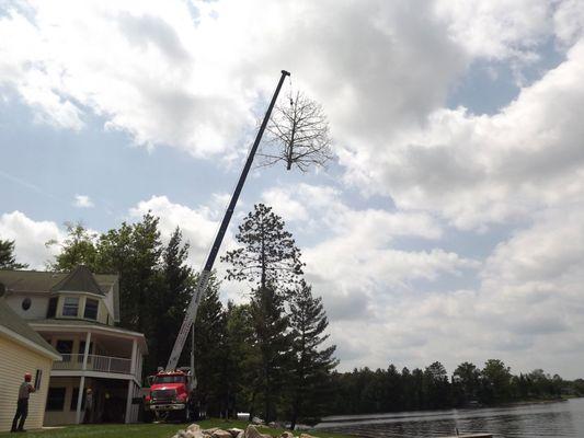 Oakridge Tree Service, LLC