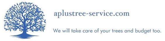 A Plus Tree Service