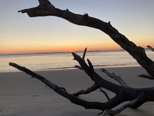 St Andrews Beach