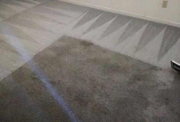 Carpet cleaning