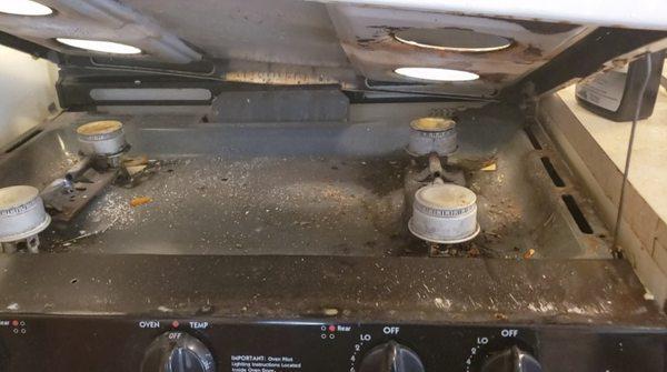 Full view of under stove top.