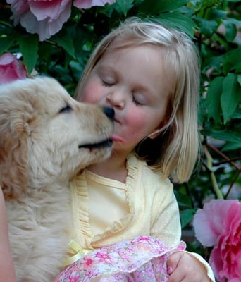 Puppy Kisses