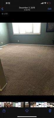 Edgar's Carpet Cleaning