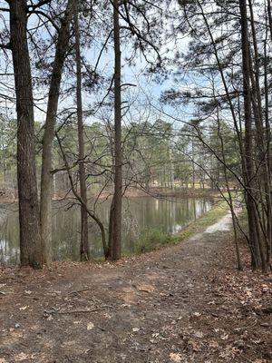 Largest Pond along the trail