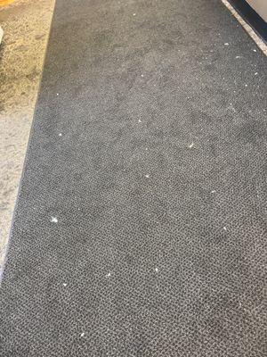 Filthy unvacuumed carpet