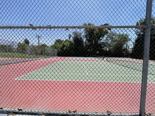 Tennis courts