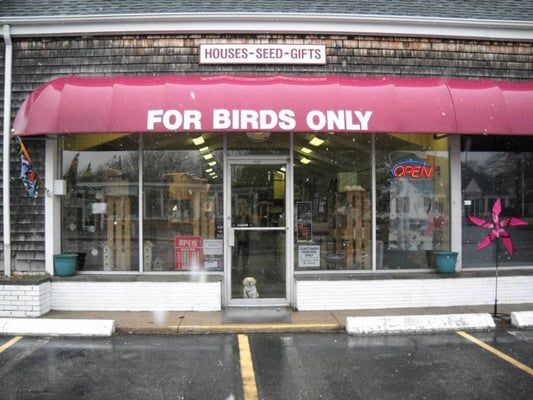 For Birds Only