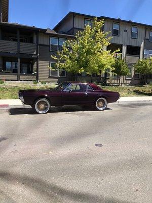 1988 Cougar . Ceramic coated & maintenances regularly