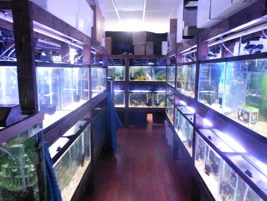 Fish Room