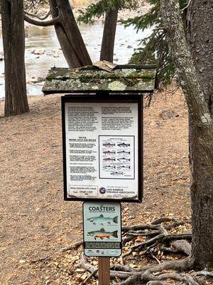 Gooseberry Falls State Park