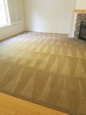 Clean carpet