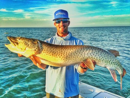 Lake St. Clair muskie!