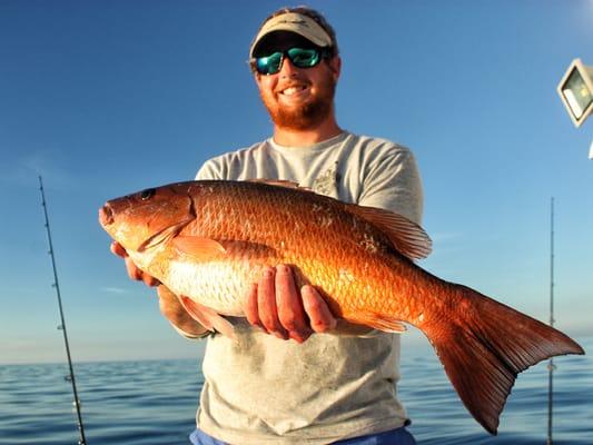 Mangrove Snapper