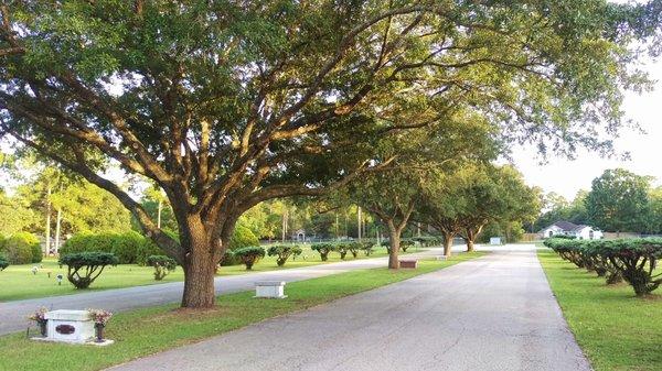 Cemetery Main Drive