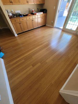 bamboo flooring before tear-out.