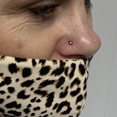 Fresh nose piercing with titanium