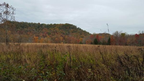 The knobs in full blown fall color