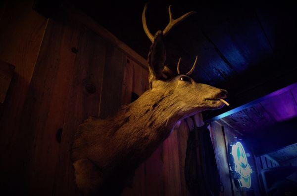 Our smoking buck..