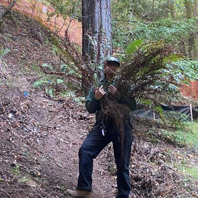 A corpsmember poses with a native fern they are relocating.