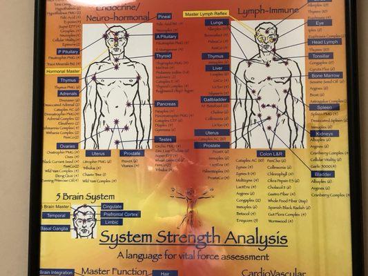 Advanced muscle testing techniques