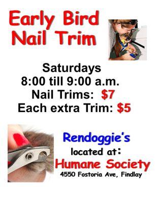 Be an Early Bird at Rendoggie's and save big on Nail Trims in Findlay.