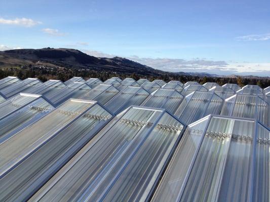 Solar Cooling system at Santa Clara University