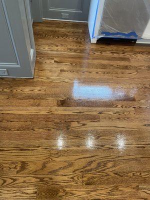 We refinished the hardwood floors in Park Ridge IL