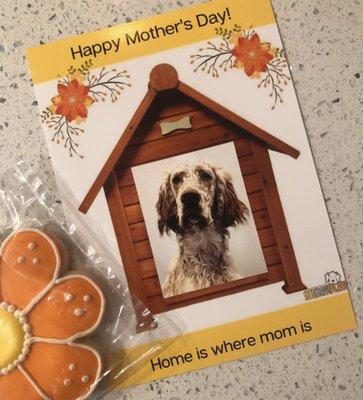 The Mother's Day card Brophy brought home to me from his day at Sit! Stay! Play!