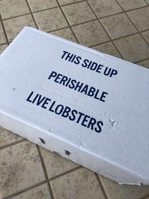 Box of lobsters