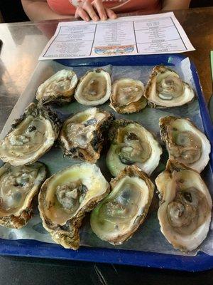 Oysters