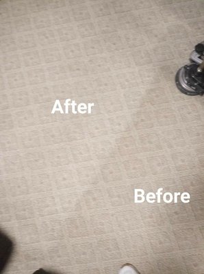 Streamline Carpet Cleaning