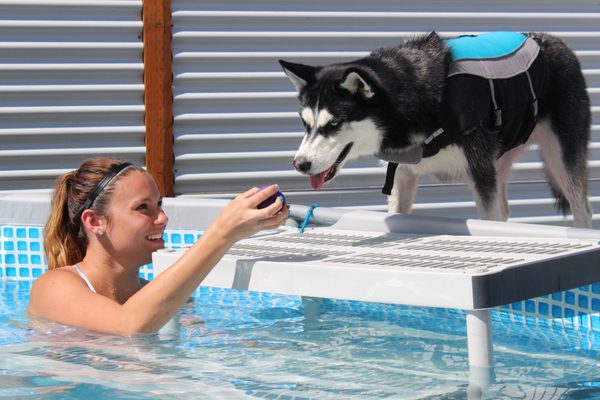 Swim exercise & therapy available in spring & summer